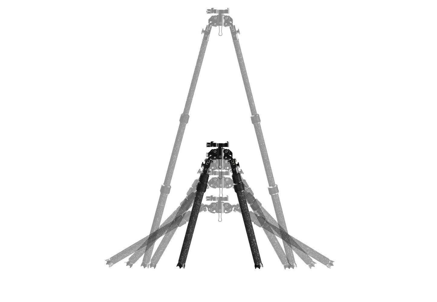Tricer-RP