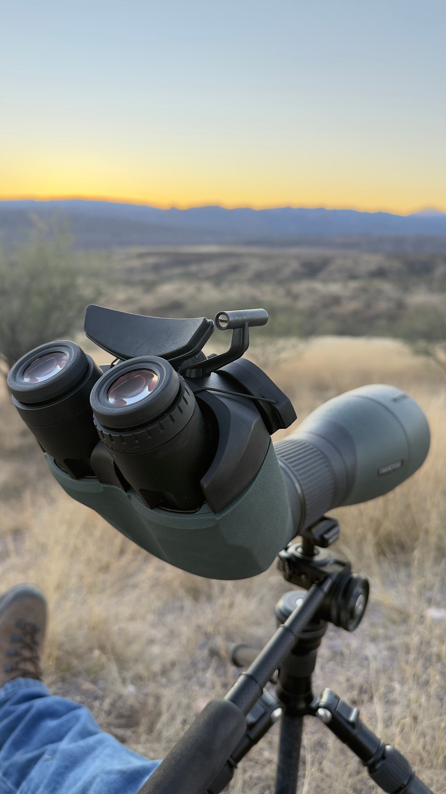 Swarovski BTX with 85mm Rental